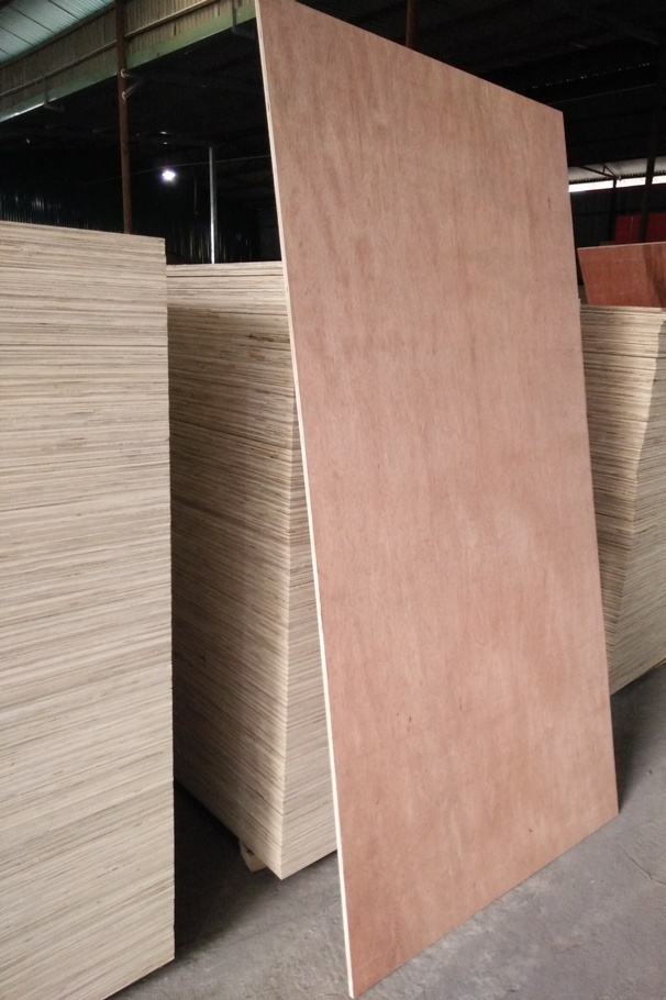 Plywood Bintangor face/back